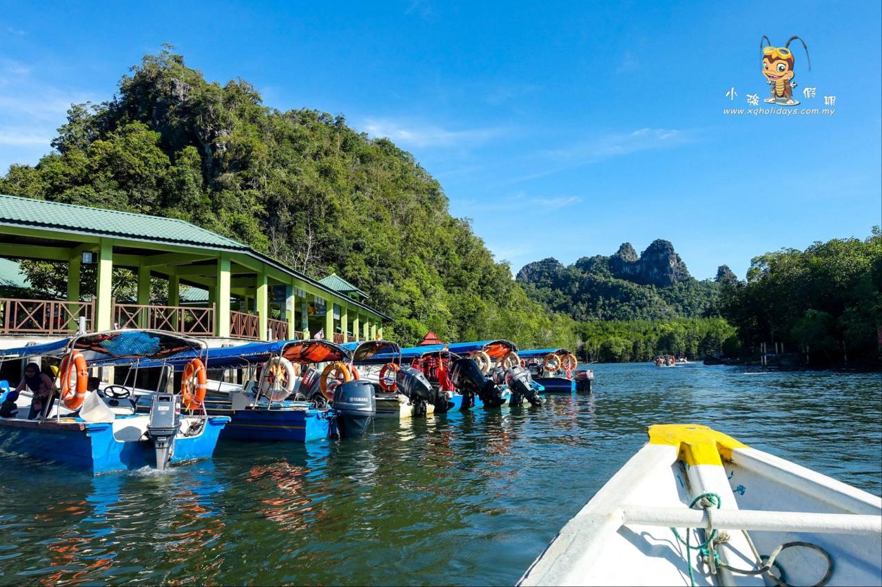 Mangrove Tour Langkawi: Jelajahi Ekosistem Pesisir yang Menakjubkan